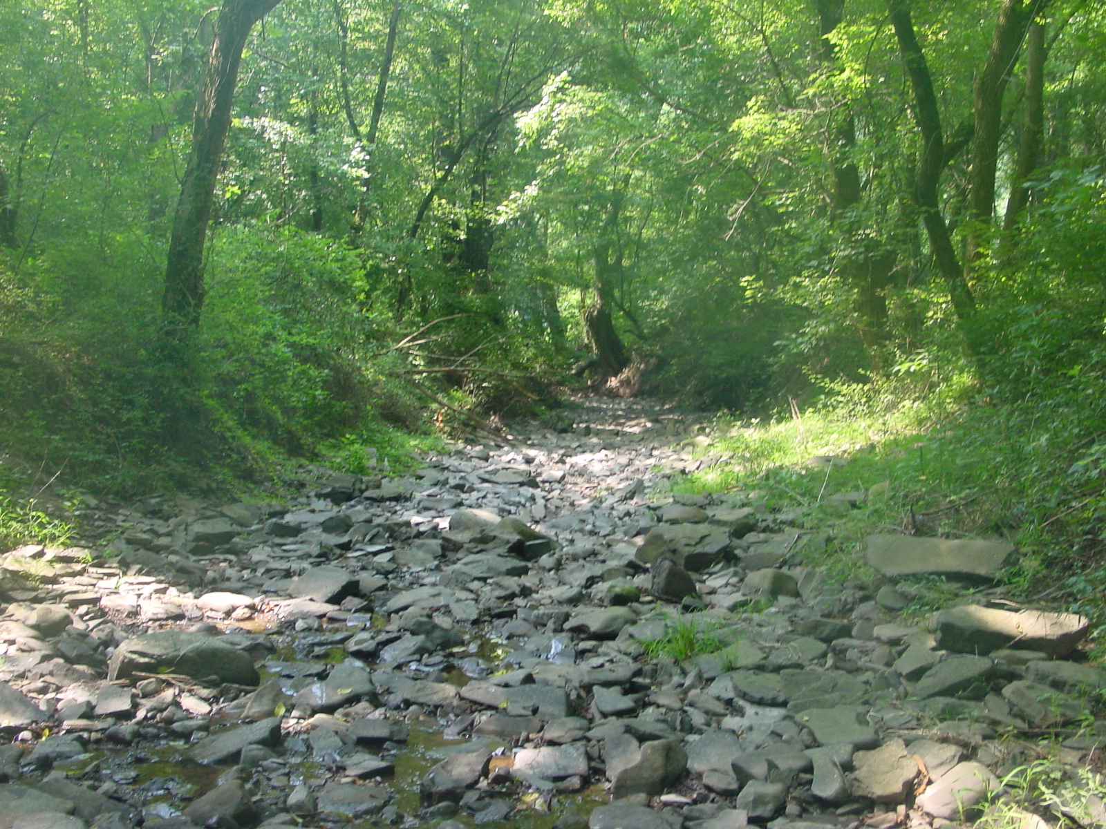Field photo showing stream conditions at site COCA-113-N-2003-3