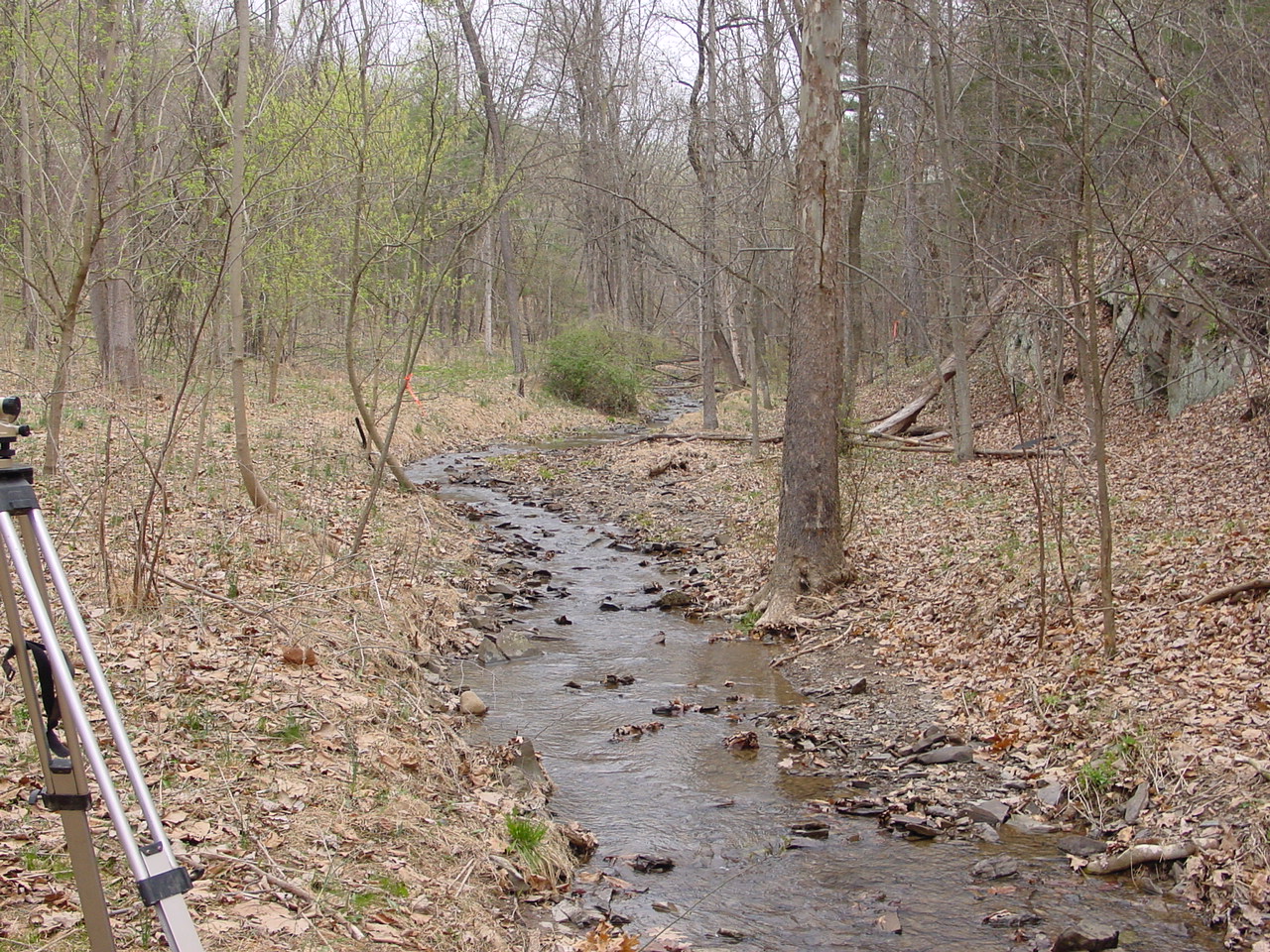 Field photo showing stream conditions at site COCA-114-N-2003-1