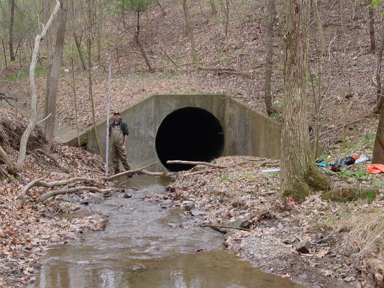 Field photo showing stream conditions at site COCA-114-N-2003-2