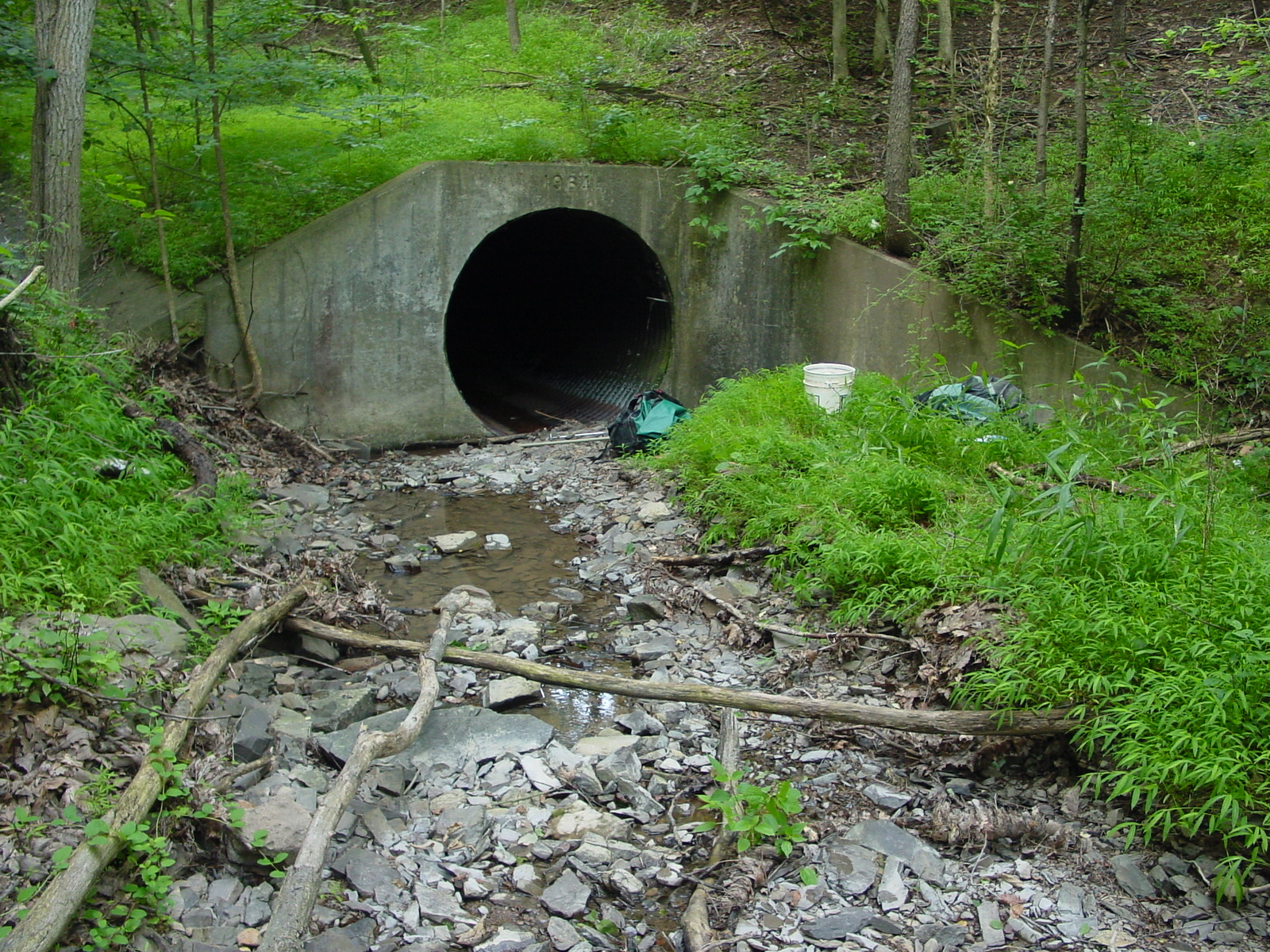 Field photo showing stream conditions at site COCA-114-N-2003-3
