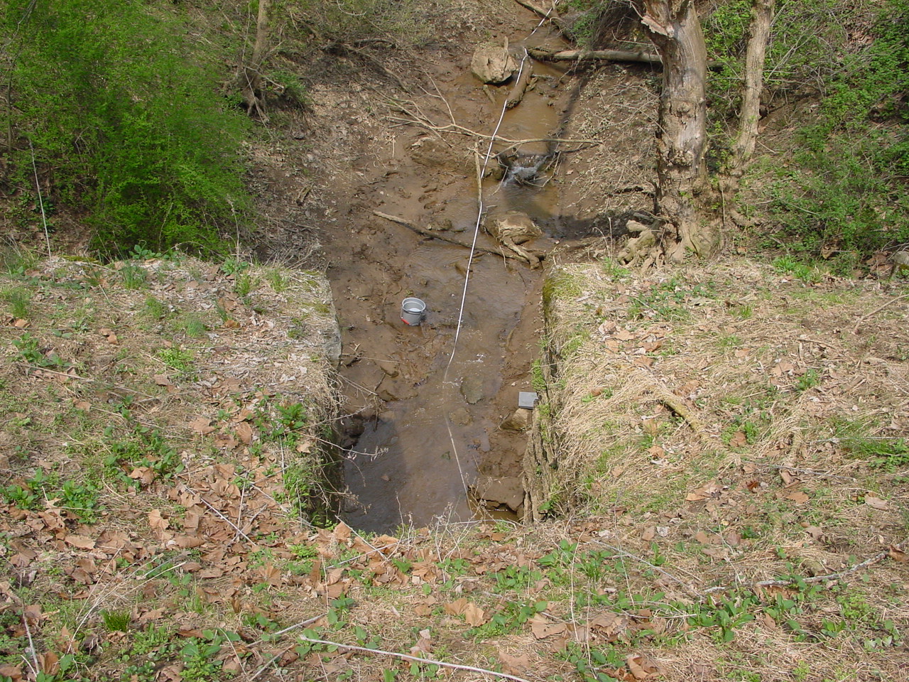 Field photo showing stream conditions at site COCA-115-N-2003-3