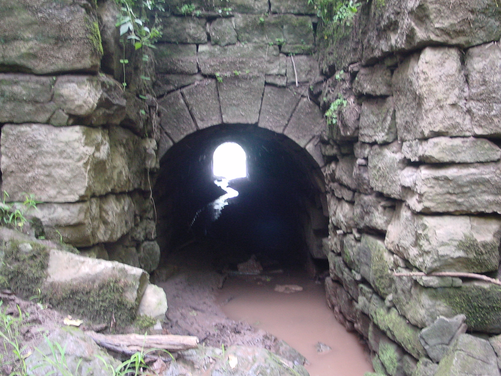 Field photo showing stream conditions at site COCA-115-N-2003-5