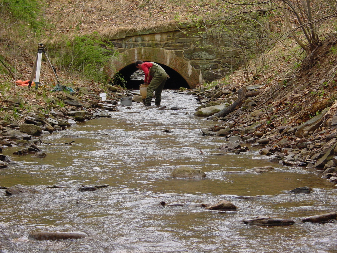 Field photo showing stream conditions at site COCA-116-N-2003-1