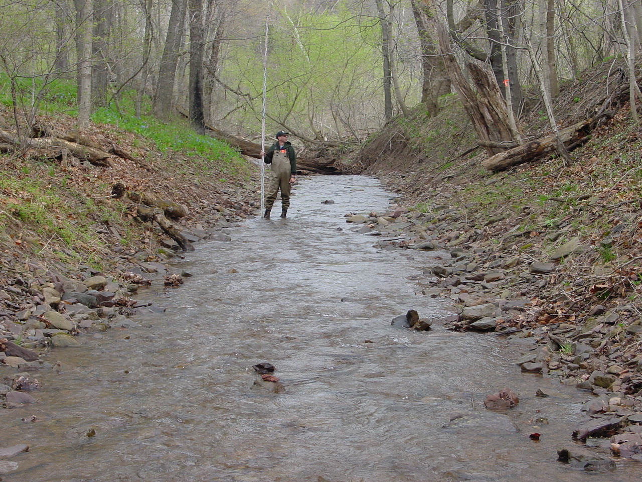 Field photo showing stream conditions at site COCA-116-N-2003-2