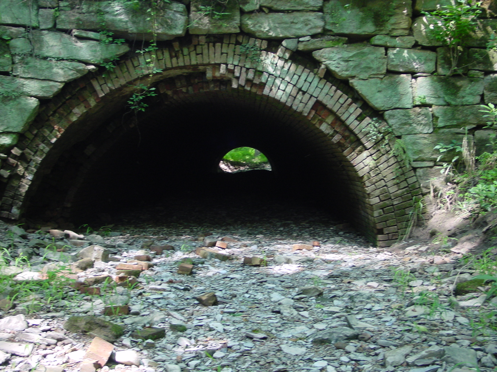 Field photo showing stream conditions at site COCA-116-N-2003-4