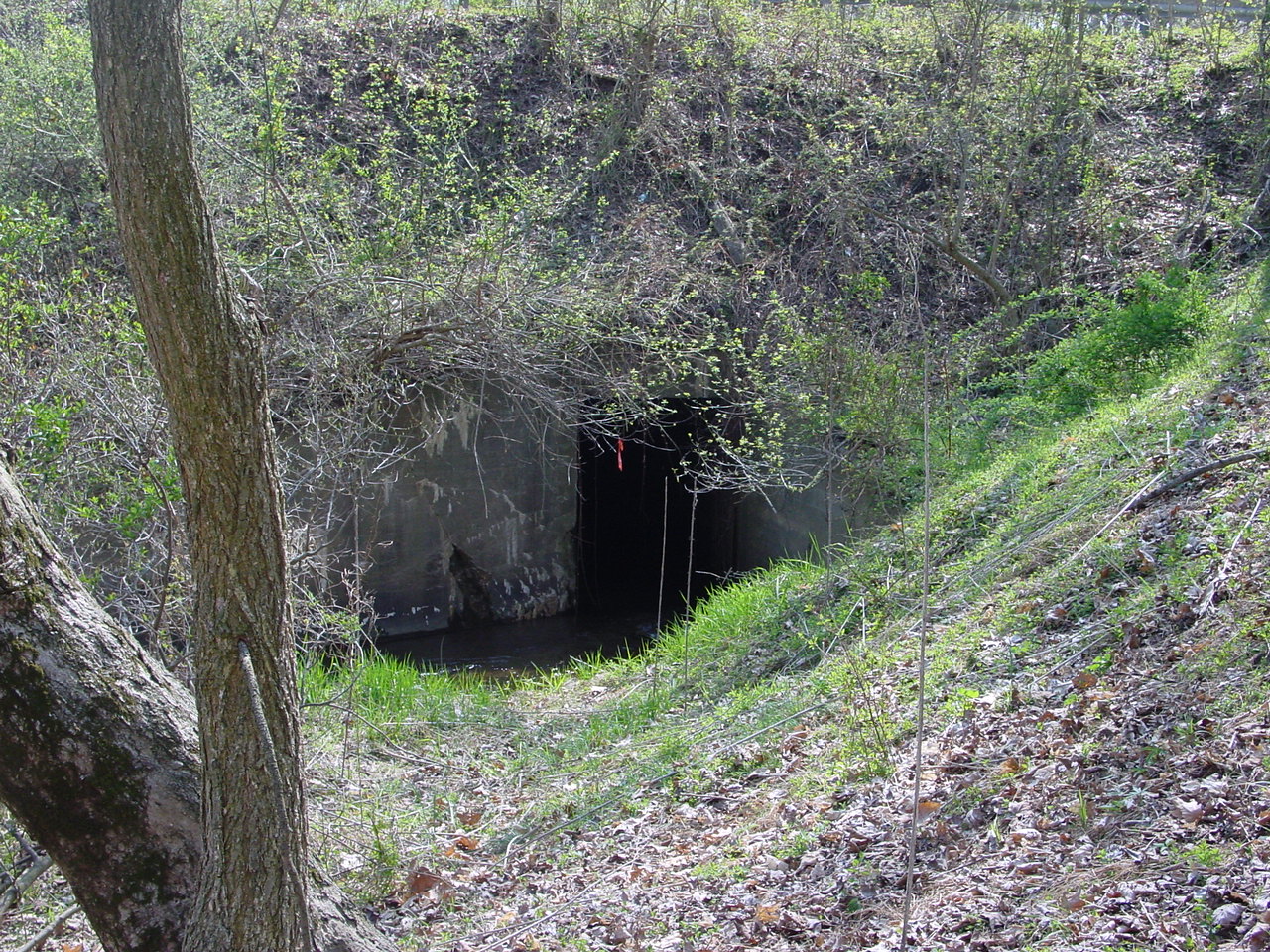 Field photo showing stream conditions at site COCA-201-N-2003-1