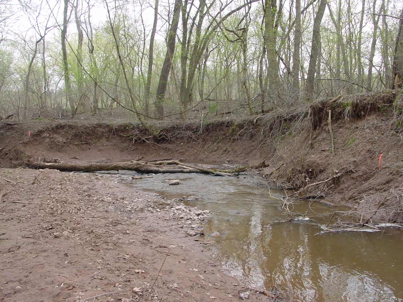 Field photo showing stream conditions at site COCA-203-N-2003-1