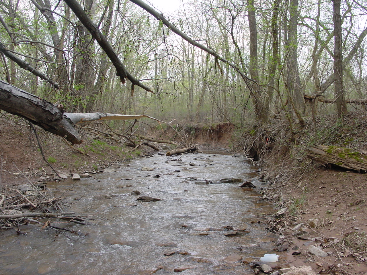 Field photo showing stream conditions at site COCA-203-N-2003-2