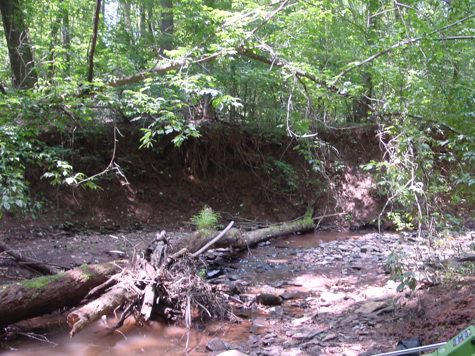 Field photo showing stream conditions at site COCA-203-N-2003-3