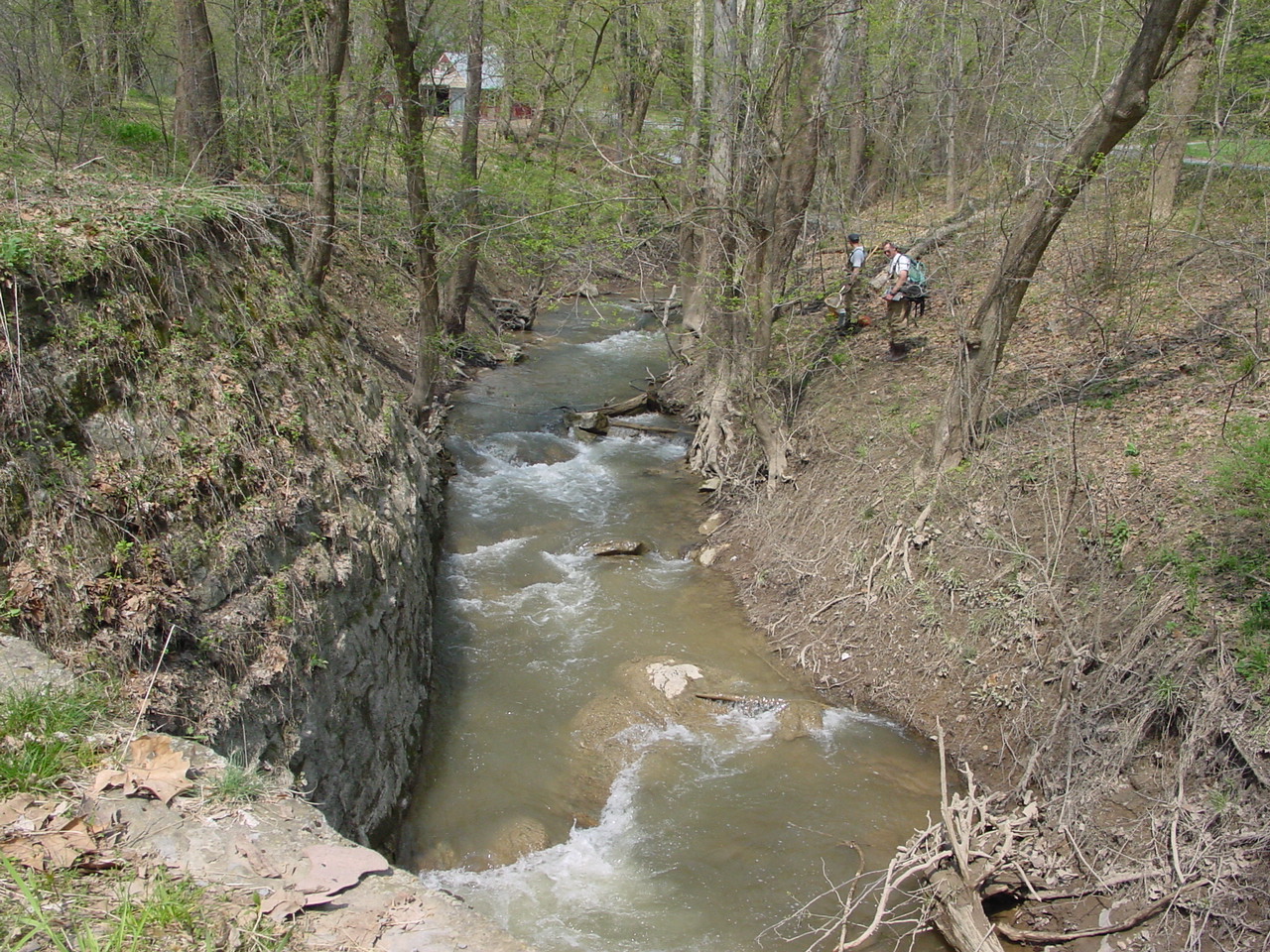 Field photo showing stream conditions at site COCA-204-N-2003-1