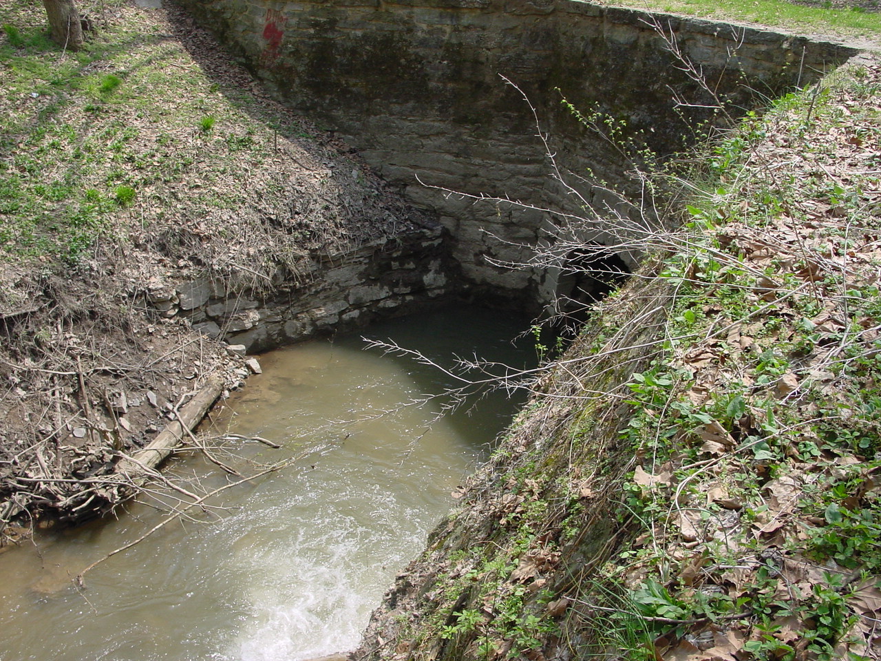 Field photo showing stream conditions at site COCA-204-N-2003-2