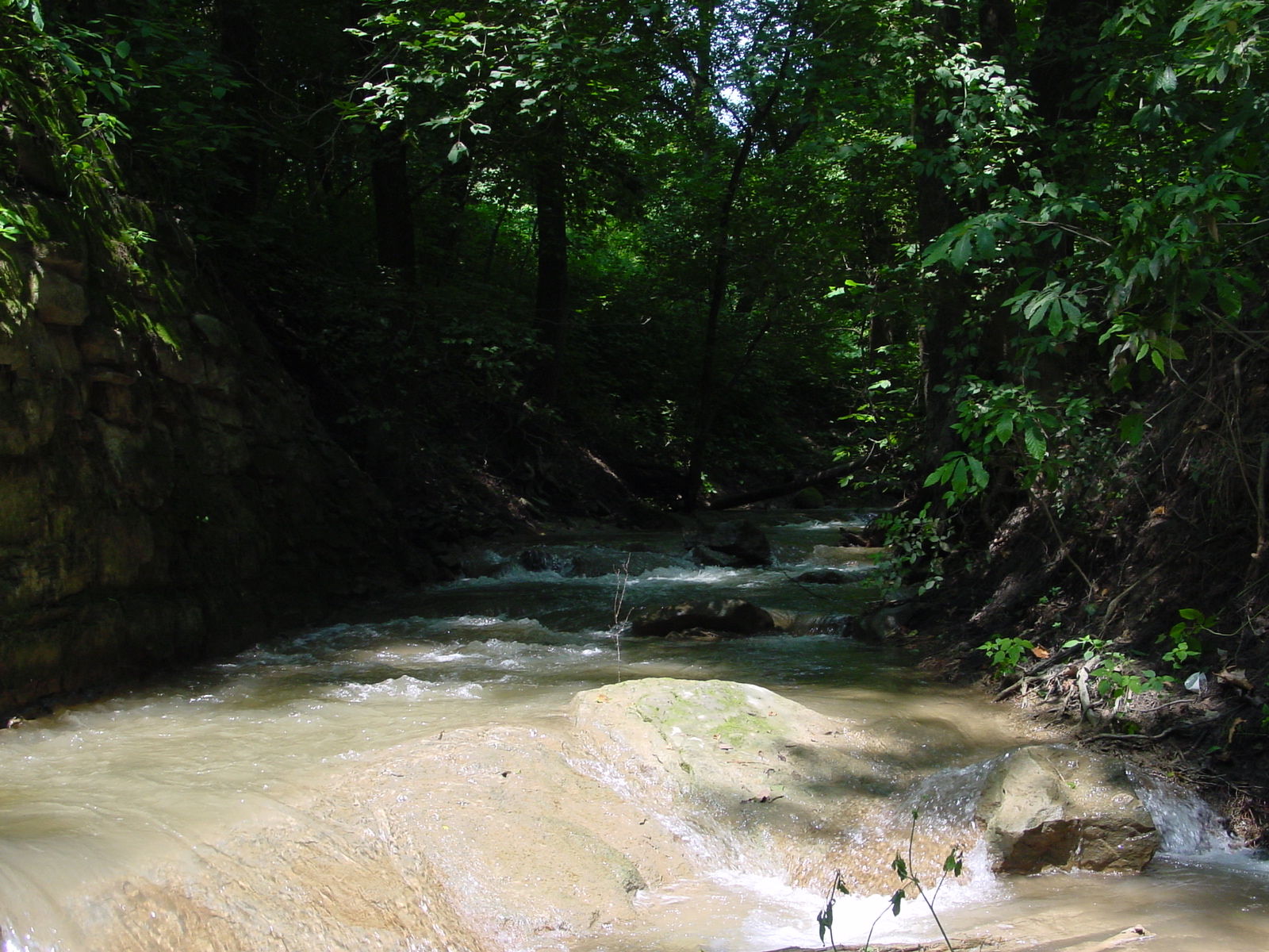 Field photo showing stream conditions at site COCA-204-N-2003-3