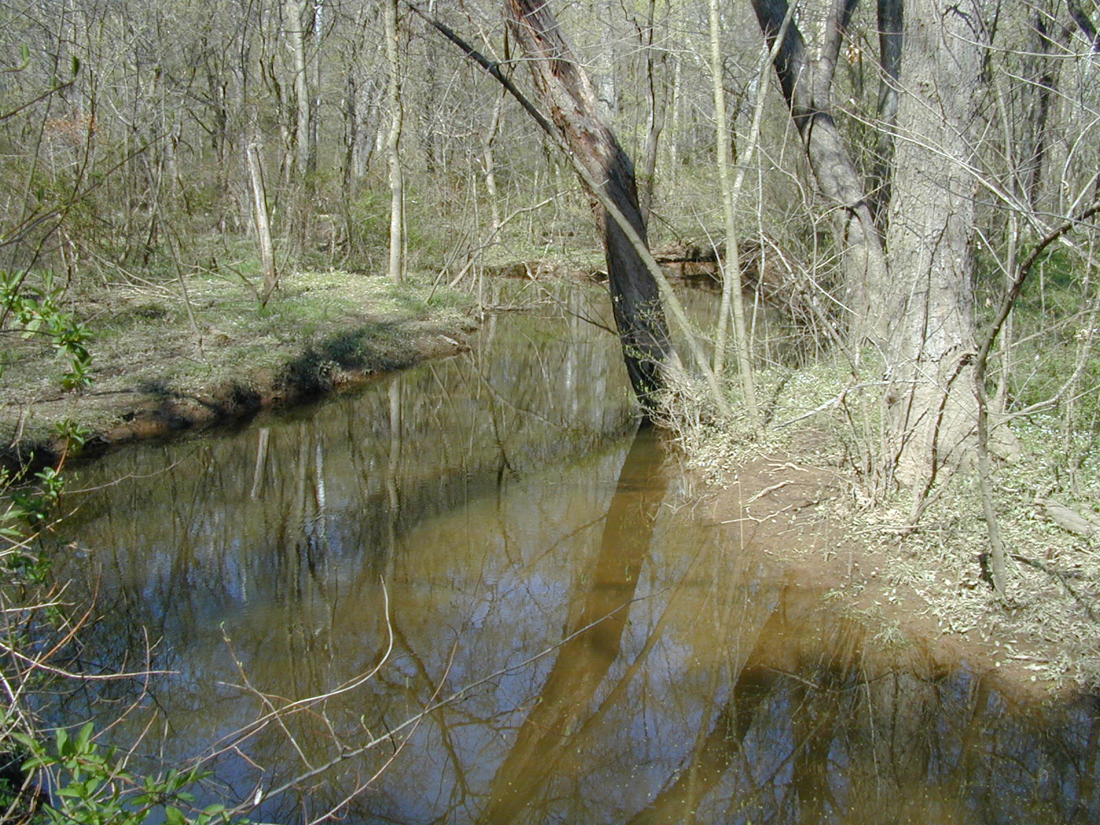 Field photo showing stream conditions at site COCA-205-N-2003-820