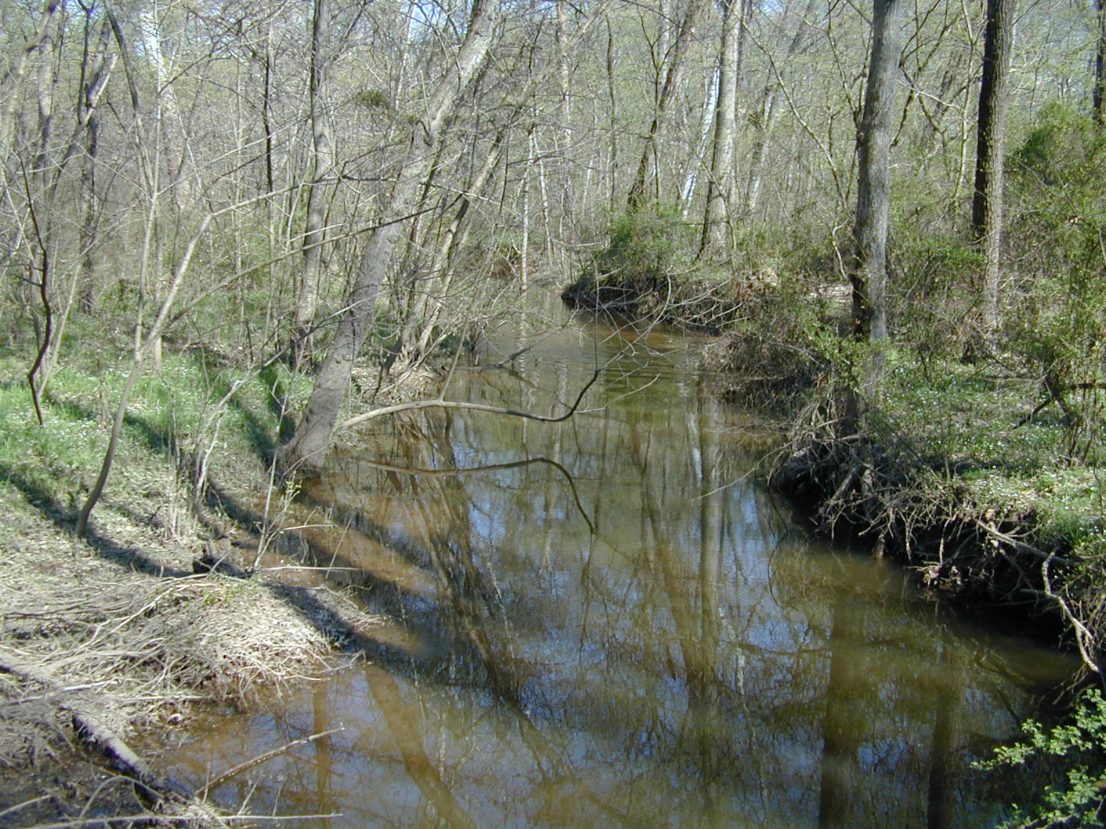 Field photo showing stream conditions at site COCA-205-N-2003-821