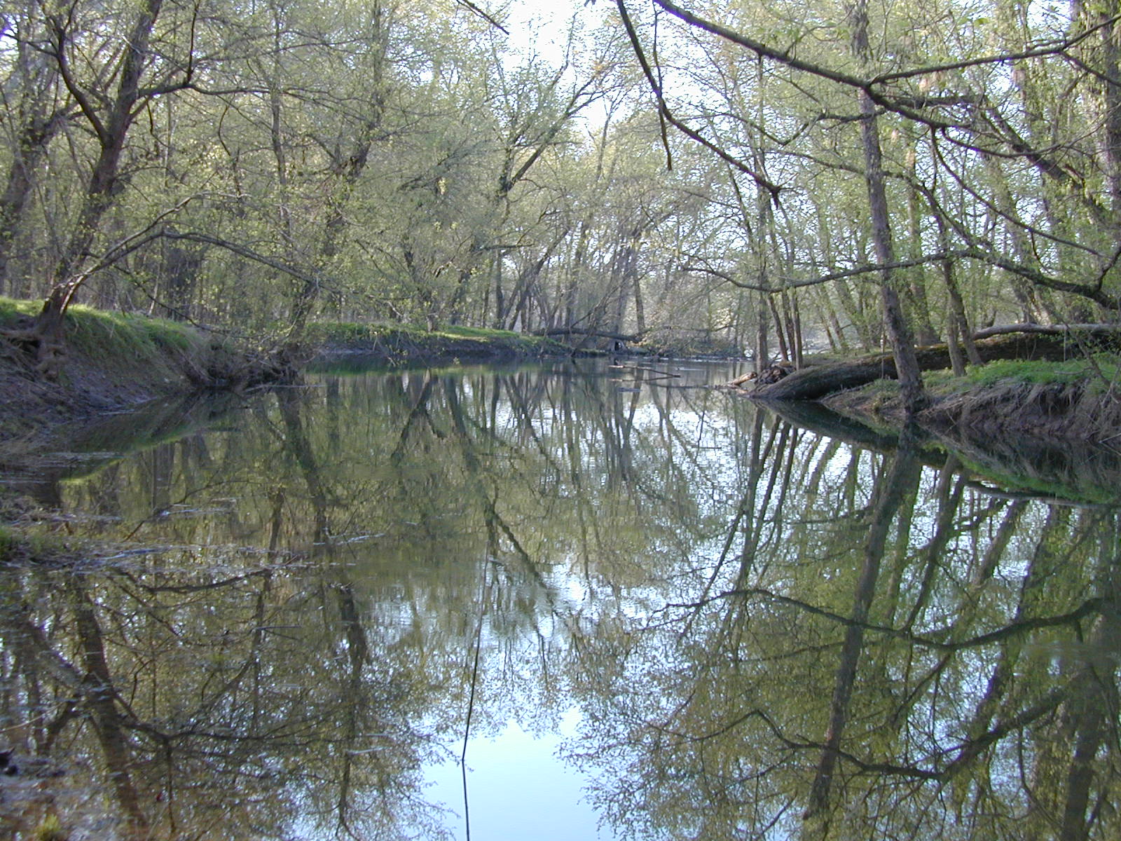 Field photo showing stream conditions at site COCA-206-N-2003-822