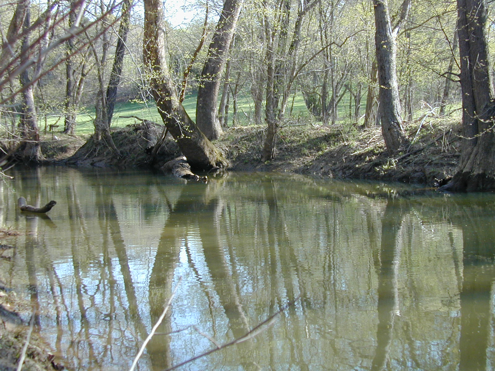 Field photo showing stream conditions at site COCA-206-N-2003-824