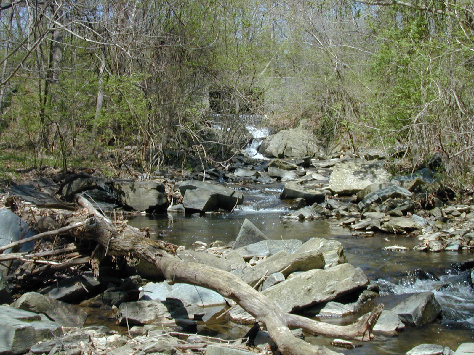 Field photo showing stream conditions at site COCA-208-N-2003-829