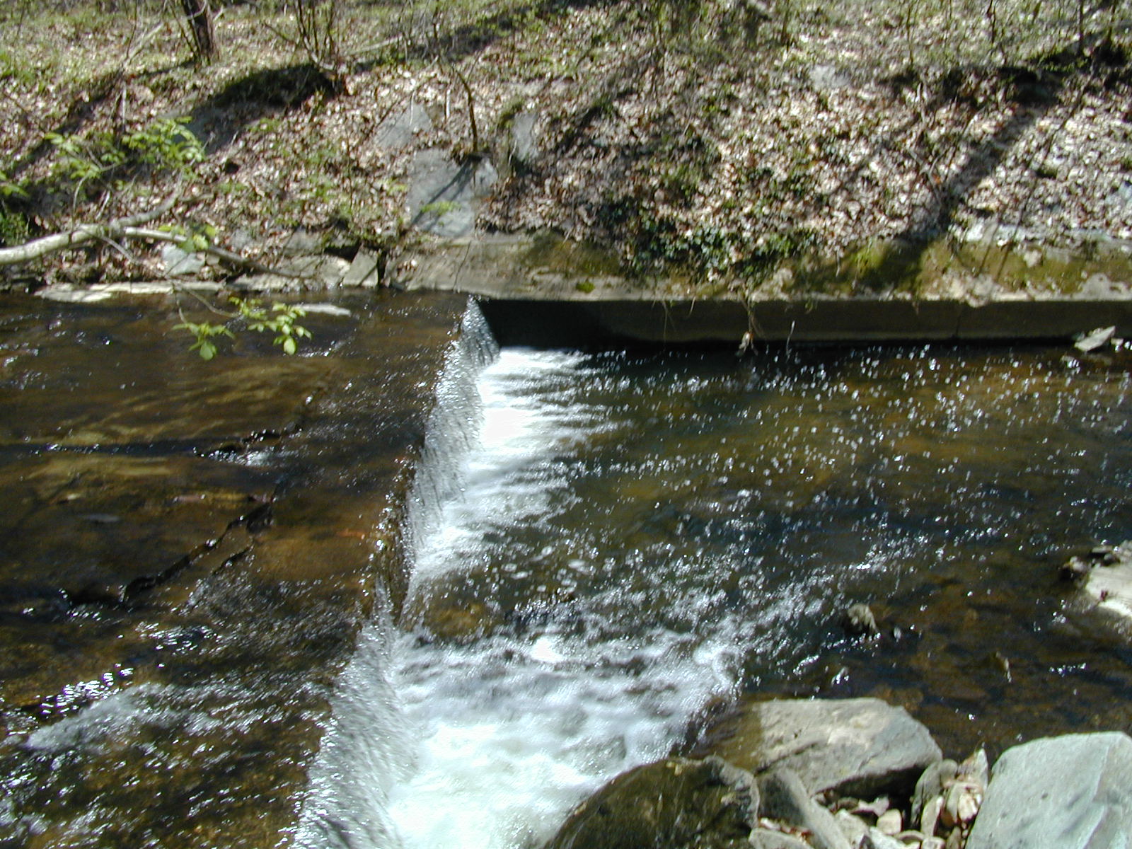 Field photo showing stream conditions at site COCA-208-N-2003-830