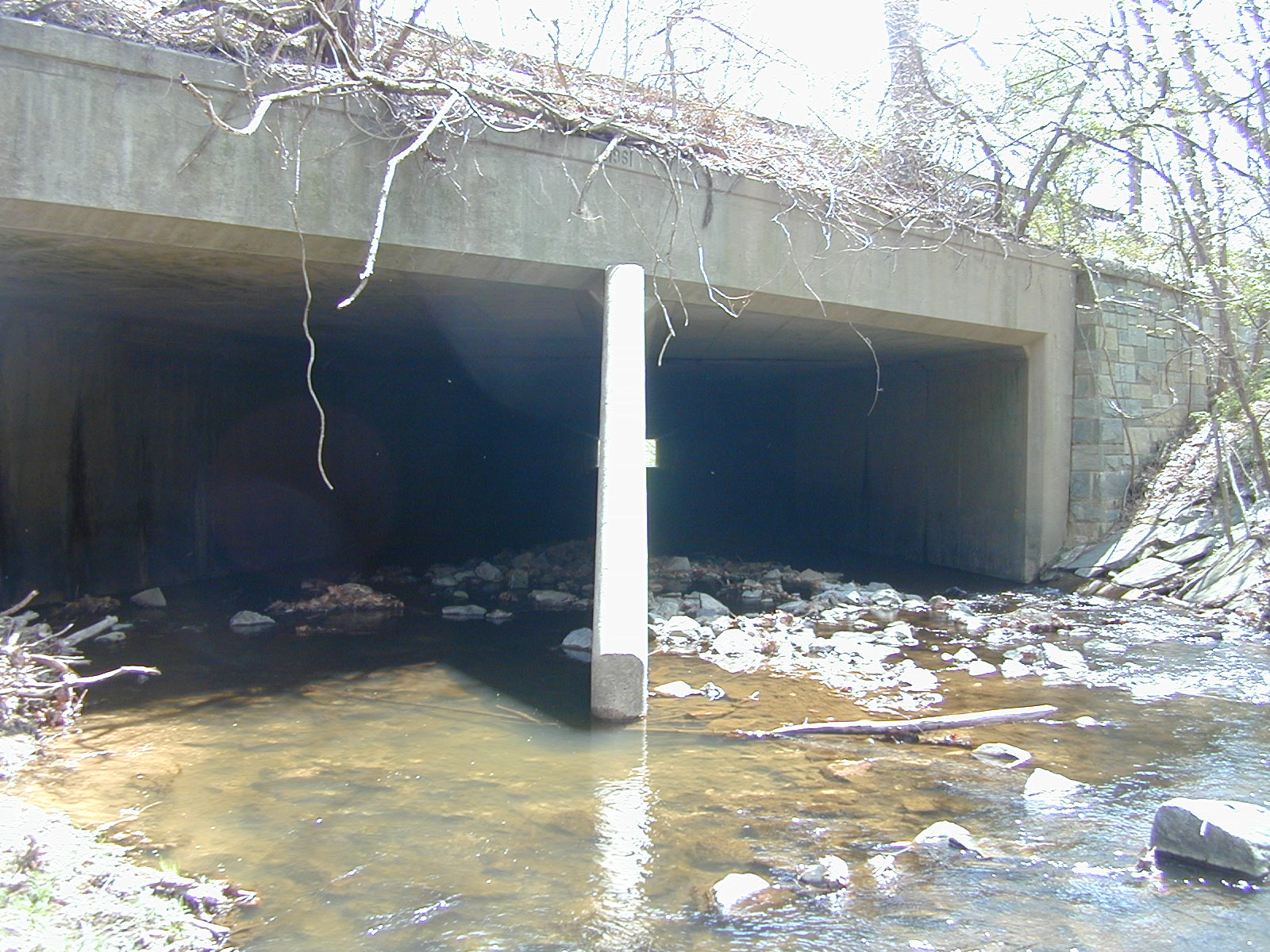Field photo showing stream conditions at site COCA-209-N-2003-831