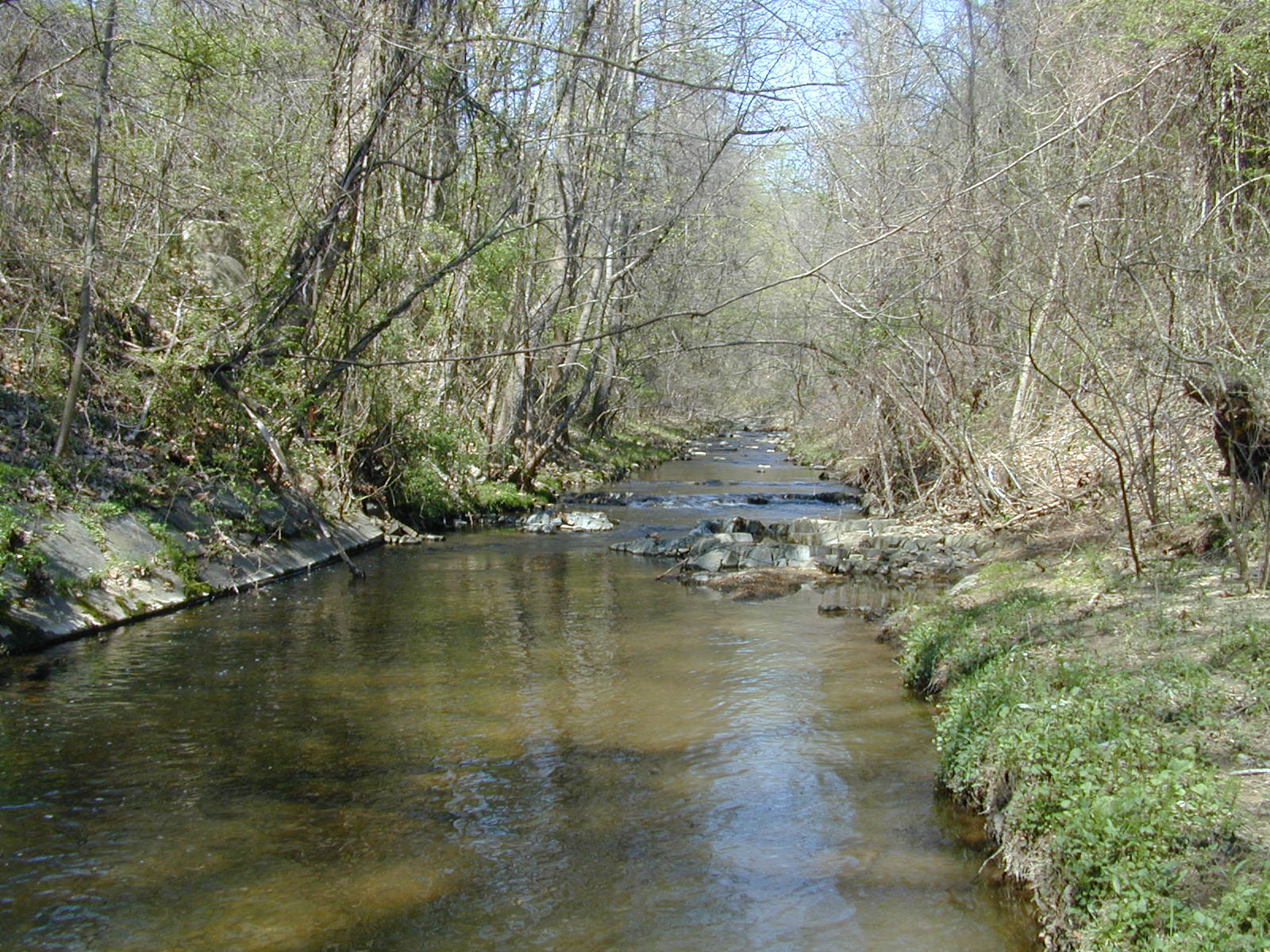 Field photo showing stream conditions at site COCA-209-N-2003-832