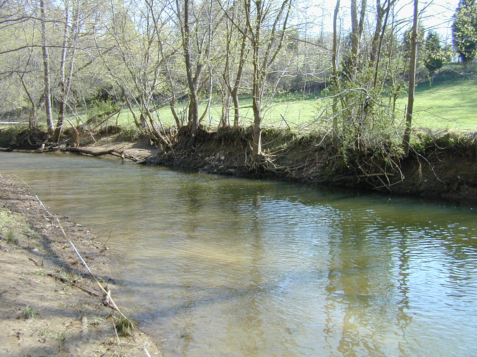 Field photo showing stream conditions at site COCA-210-N-2003-825