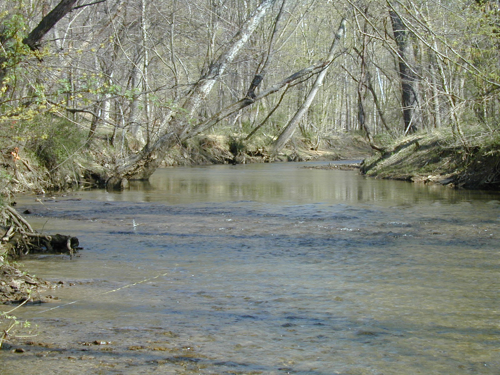 Field photo showing stream conditions at site COCA-210-N-2003-826