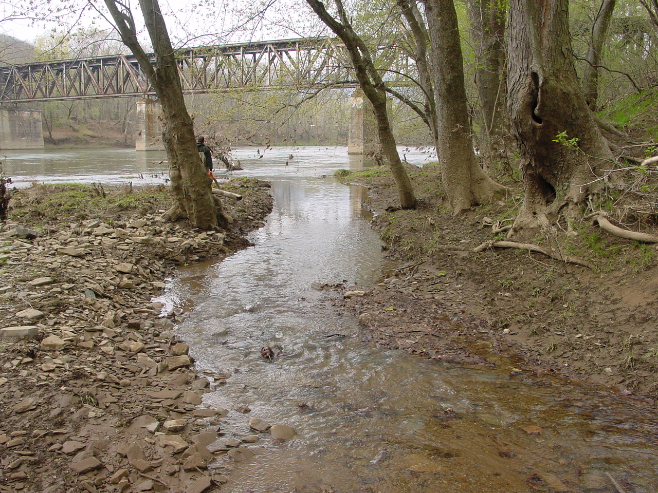 Field photo showing stream conditions at site COCA-211-N-2003-1
