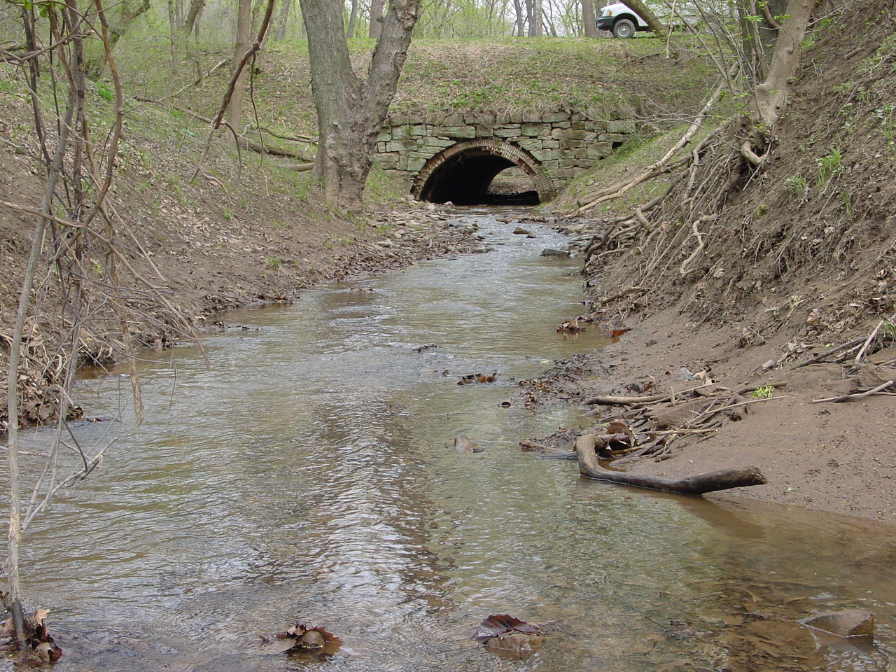 Field photo showing stream conditions at site COCA-211-N-2003-2