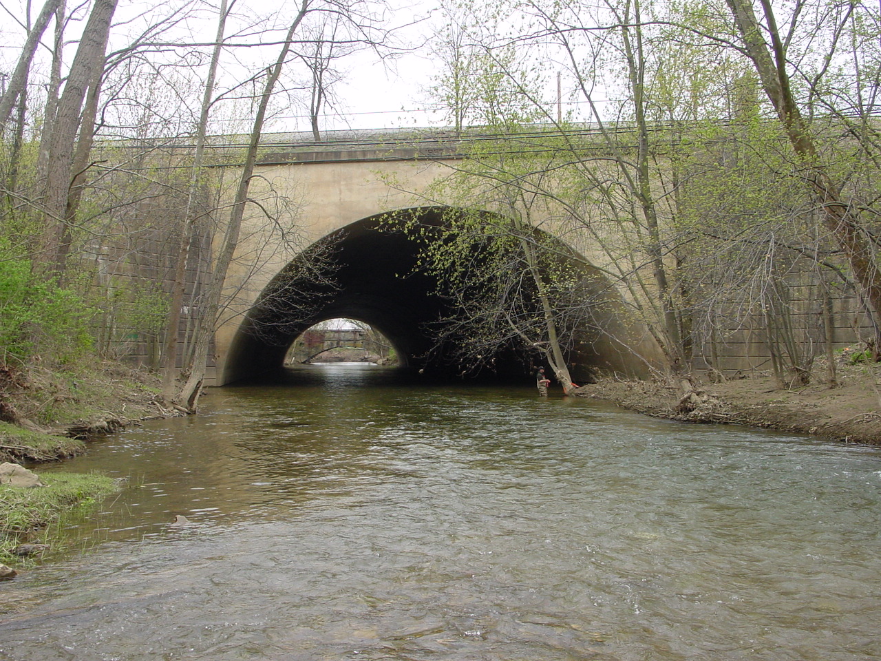 Field photo showing stream conditions at site COCA-301-N-2003-1