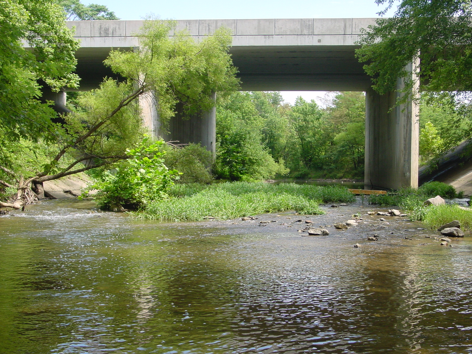 Field photo showing stream conditions at site COCA-301-N-2003-4