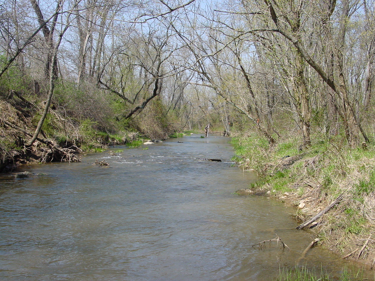 Field photo showing stream conditions at site COCA-302-N-2003-1