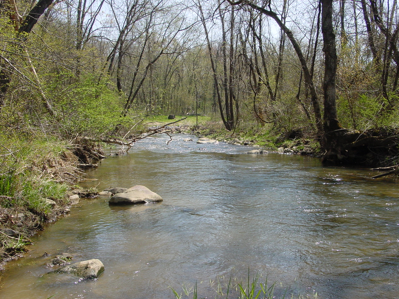 Field photo showing stream conditions at site COCA-302-N-2003-2