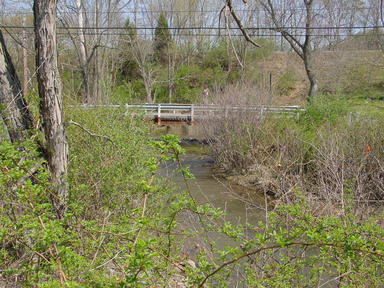 Field photo showing stream conditions at site COCA-303-N-2003-1