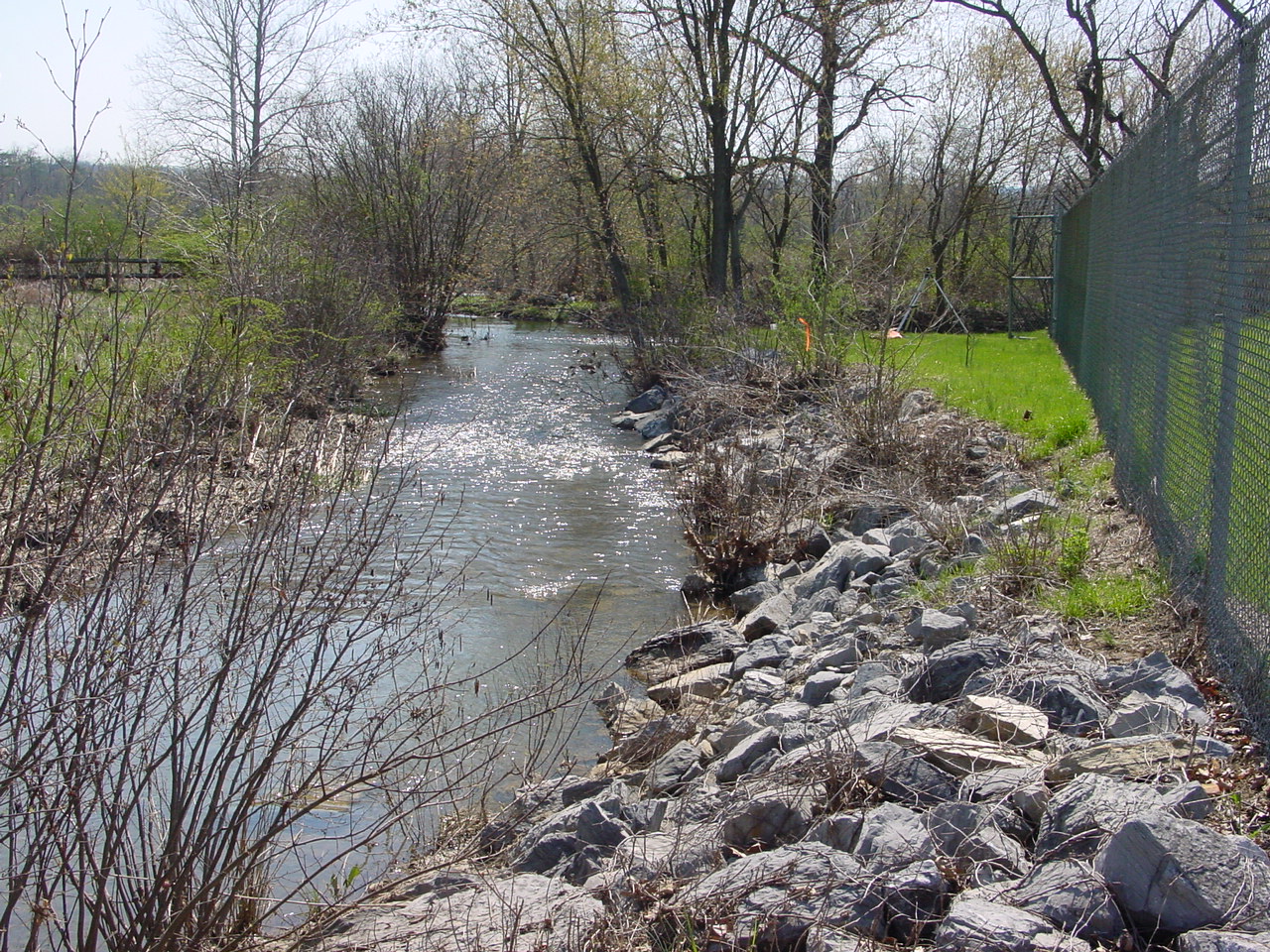 Field photo showing stream conditions at site COCA-303-N-2003-2