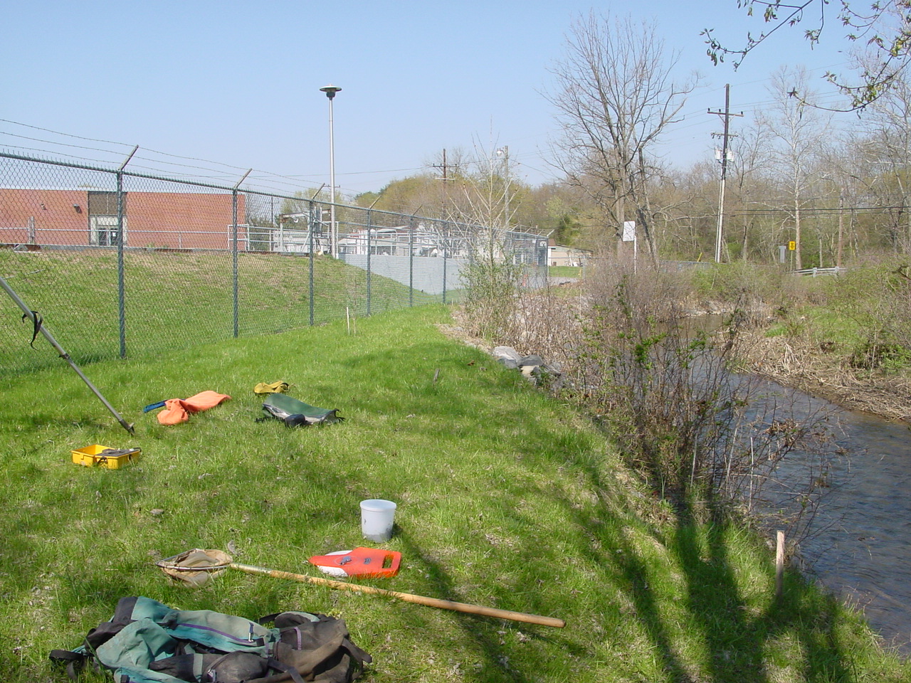 Field photo showing stream conditions at site COCA-303-N-2003-3
