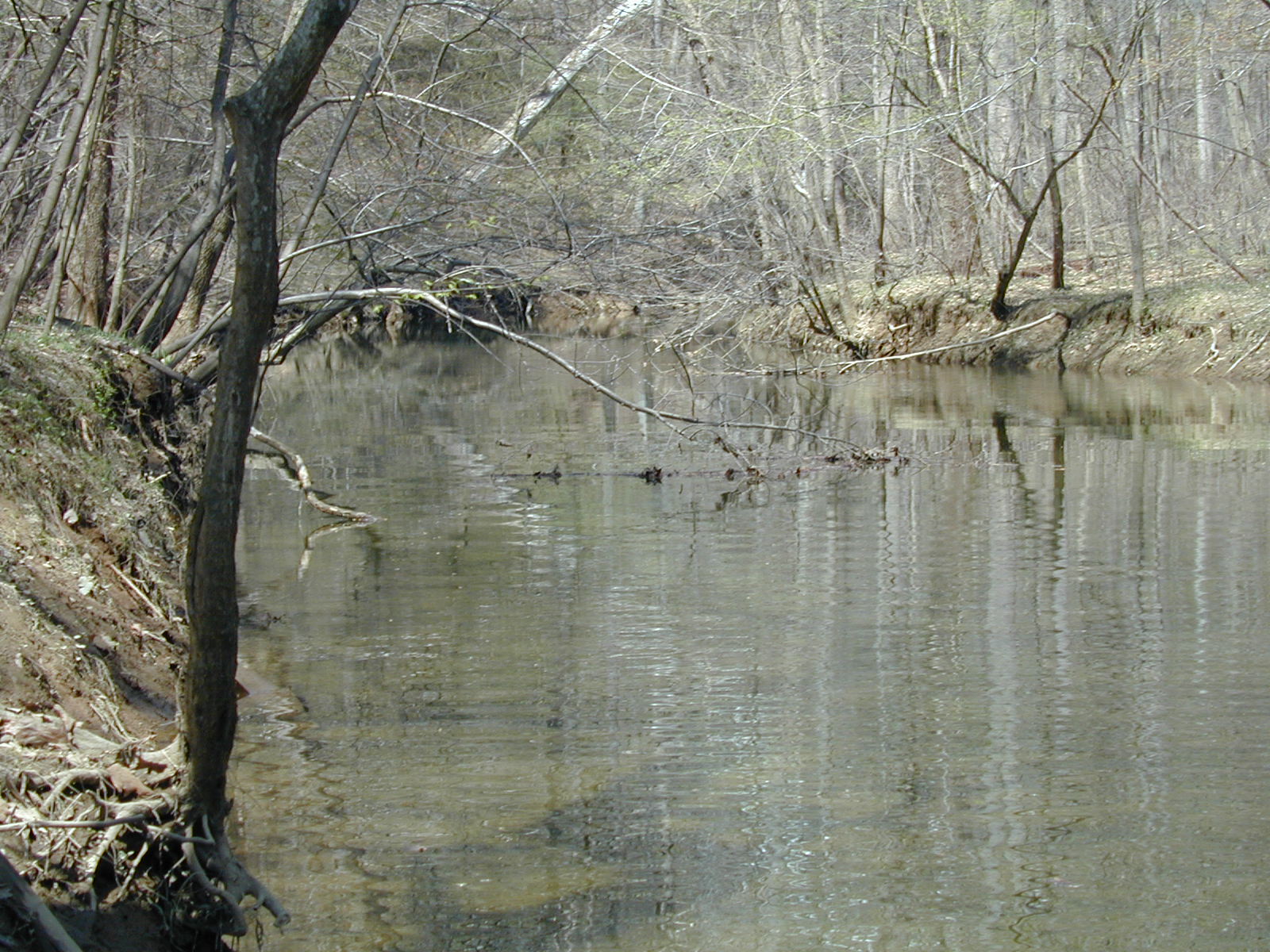 Field photo showing stream conditions at site COCA-308-N-2003-828