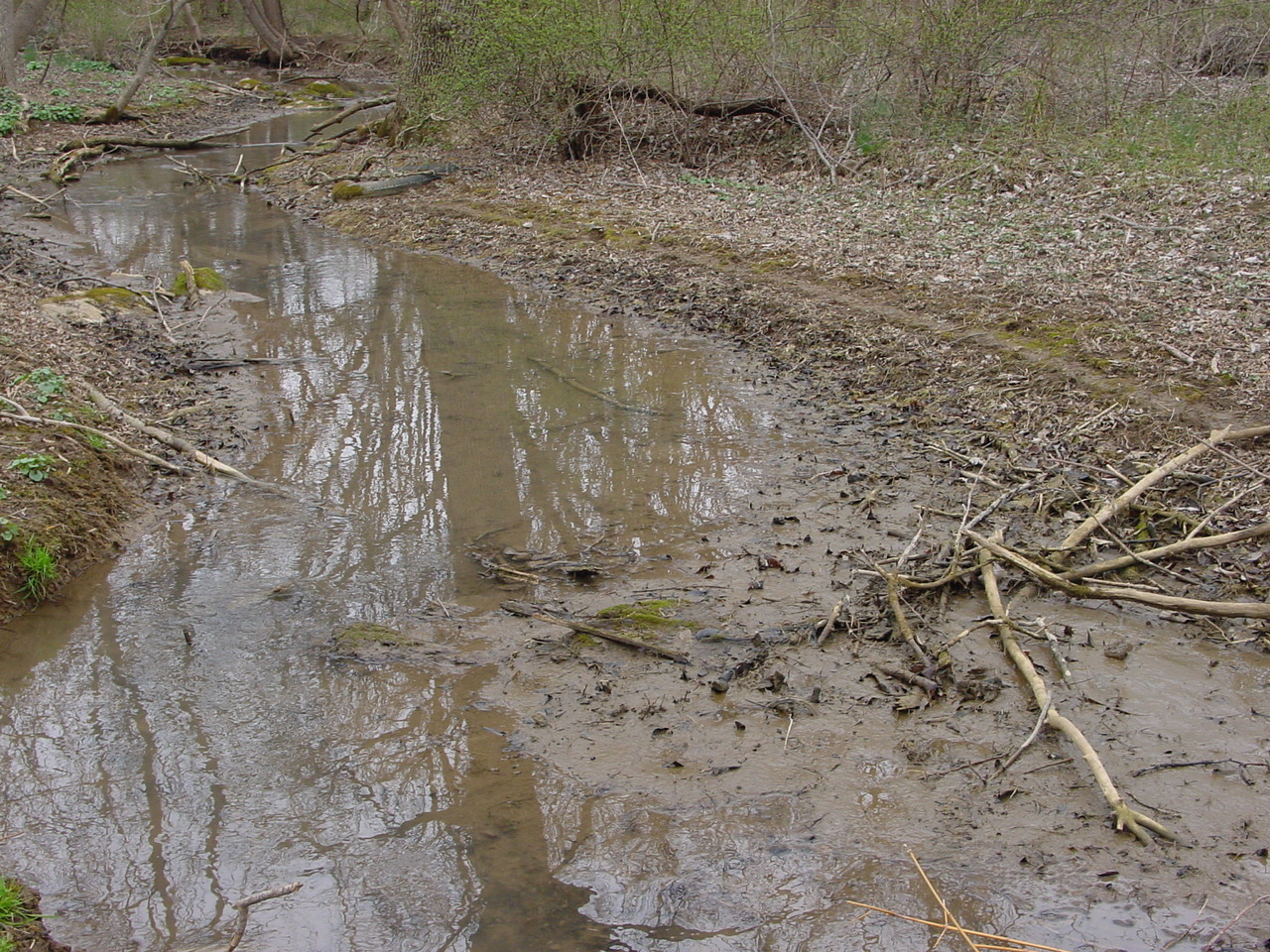 Field photo showing stream conditions at site CONO-101-R-2002-1