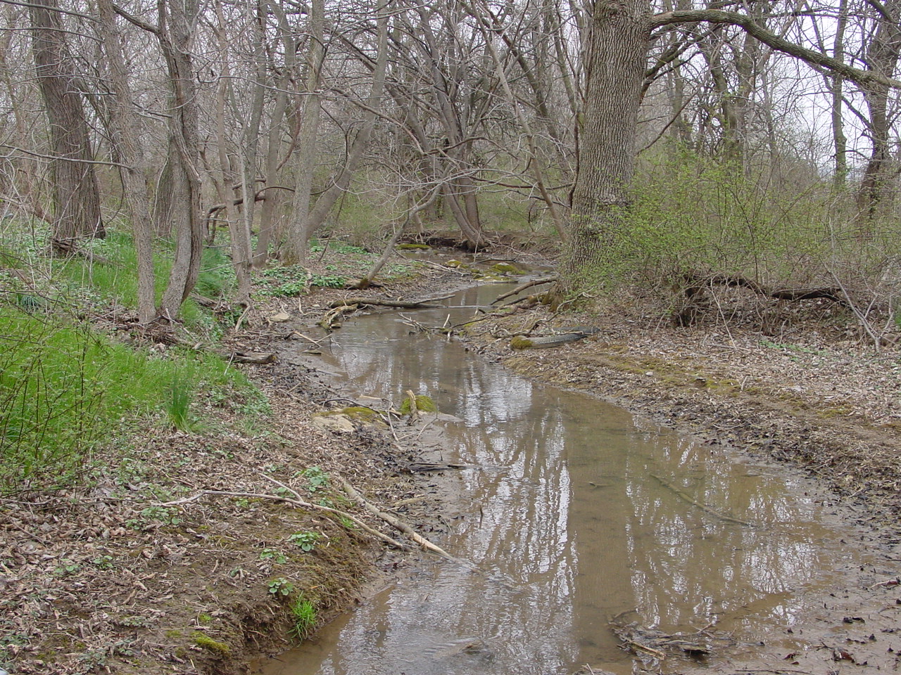 Field photo showing stream conditions at site CONO-101-R-2002-2