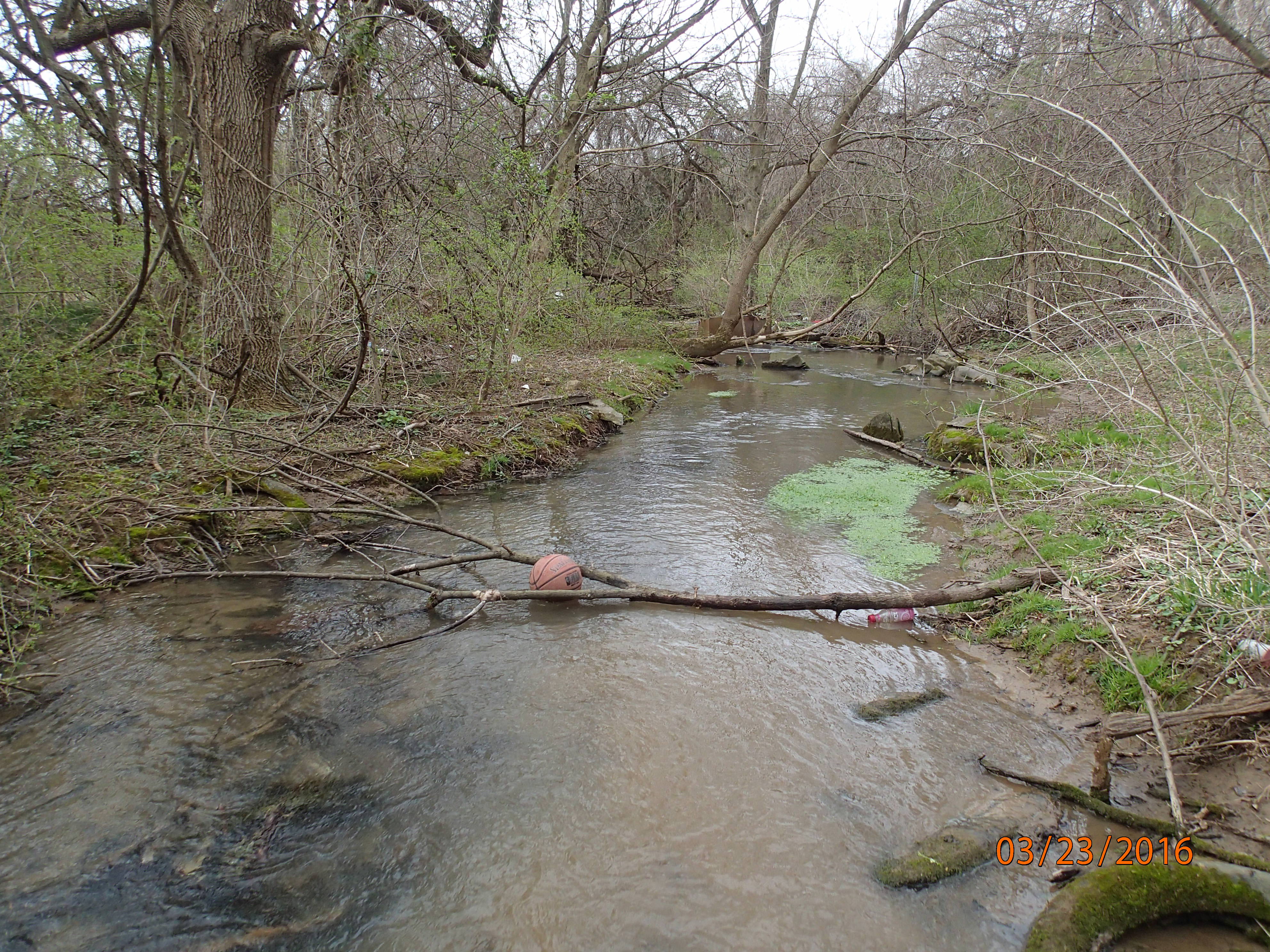 Field photo showing stream conditions at site CONO-101-R-2016-MidpointDownstream