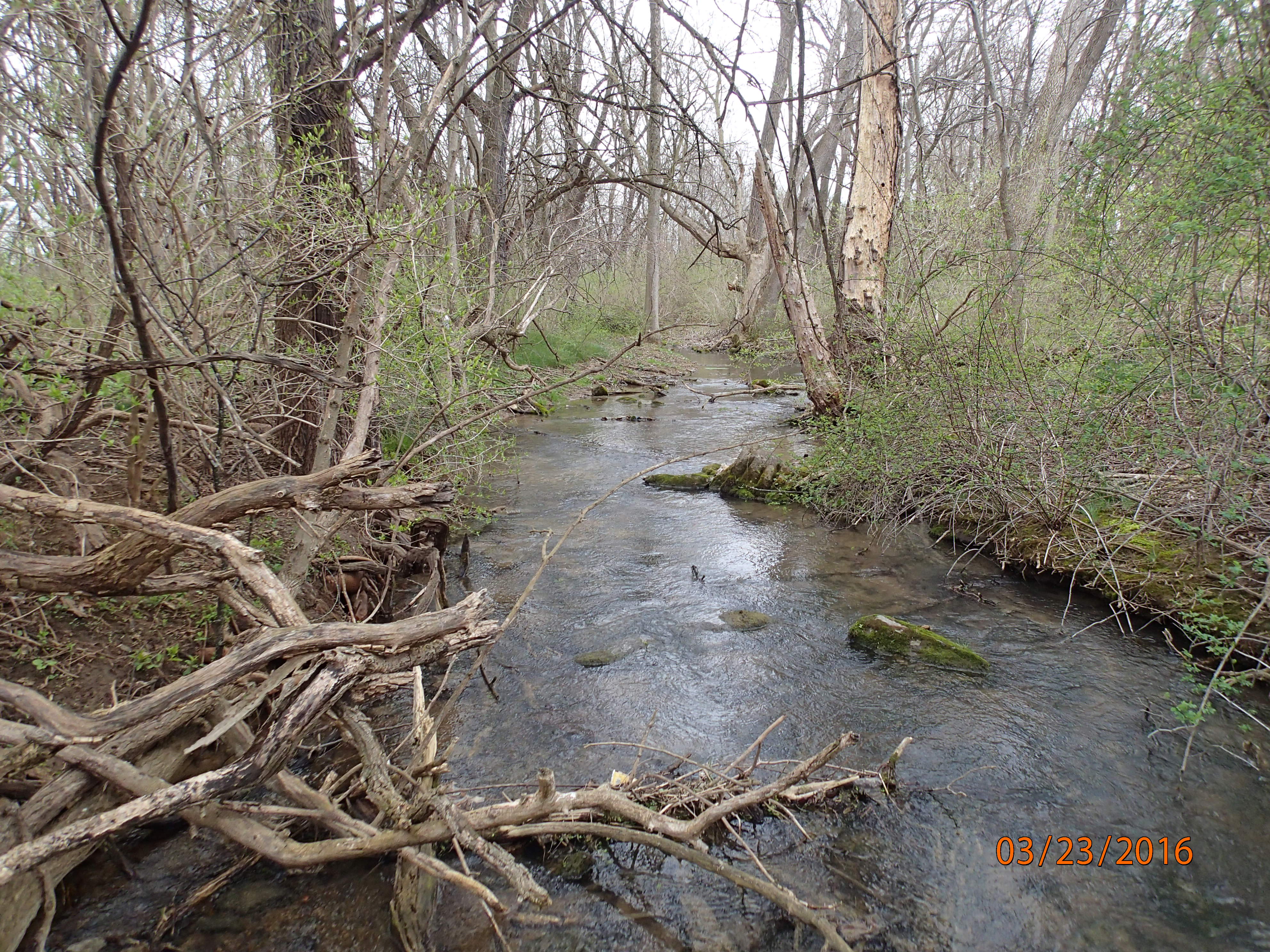 Field photo showing stream conditions at site CONO-101-R-2016-MidpointUpstream