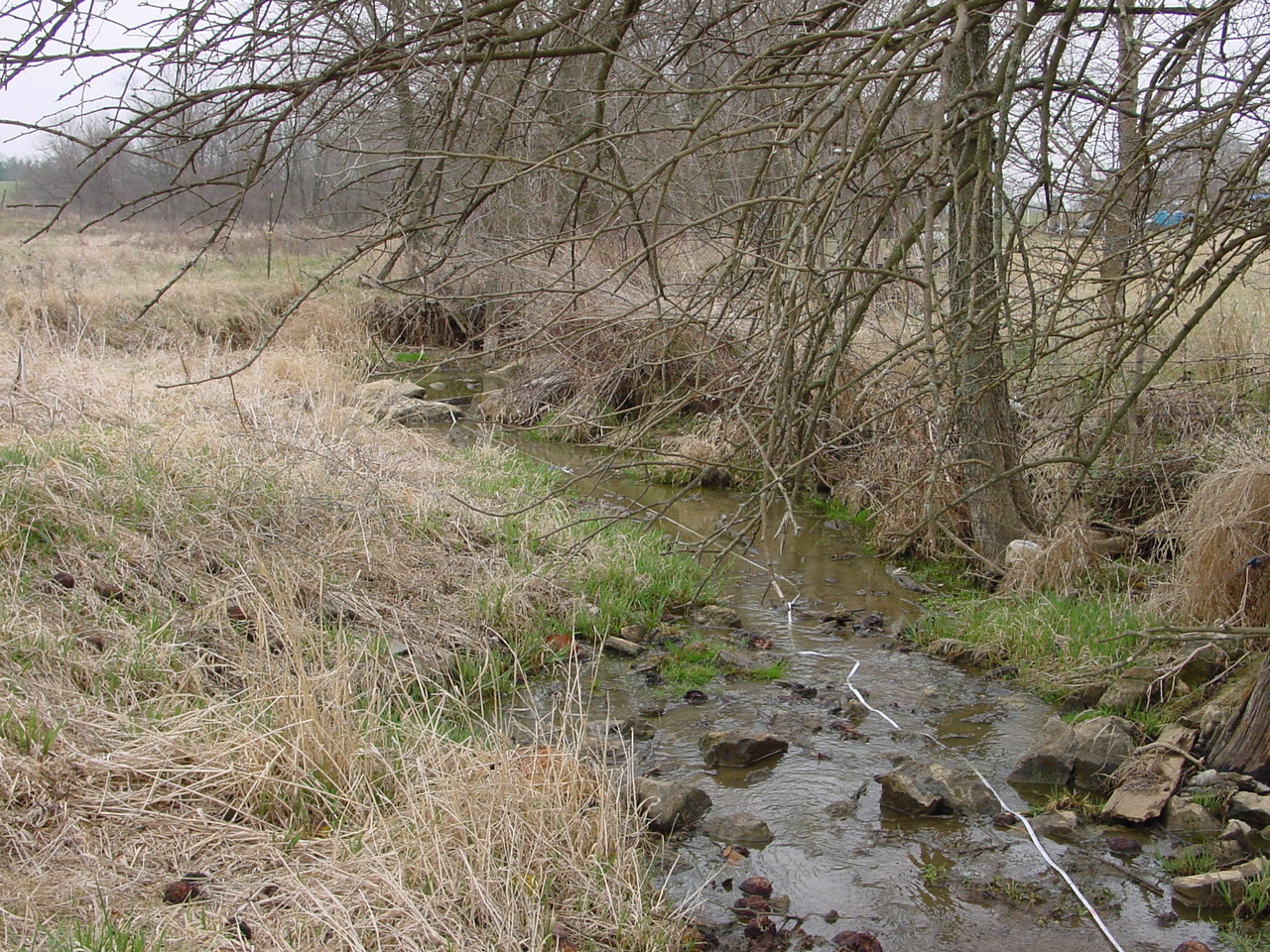 Field photo showing stream conditions at site CONO-107-R-2002-2