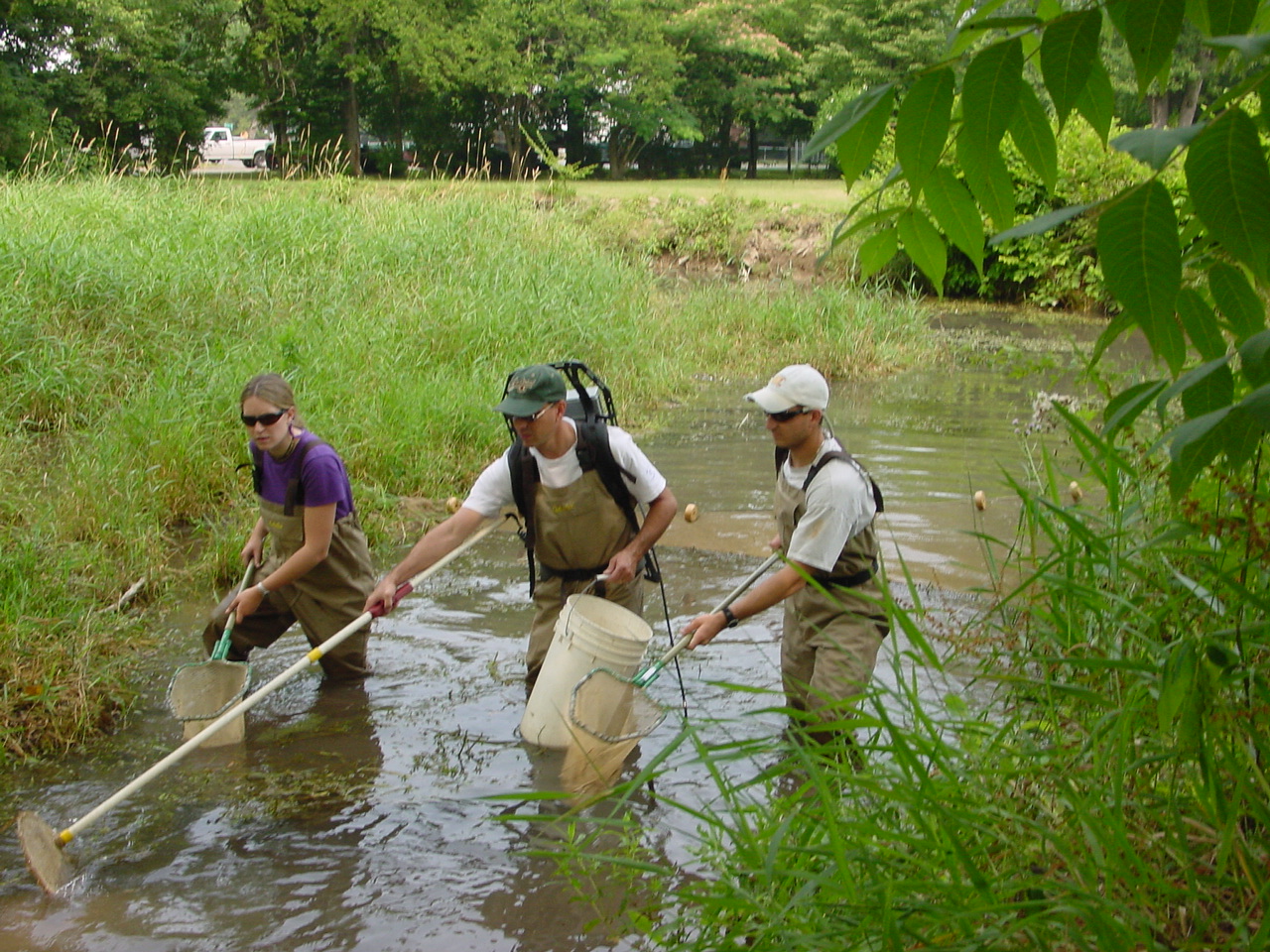 Field photo showing stream conditions at site CONO-114-R-2002-4