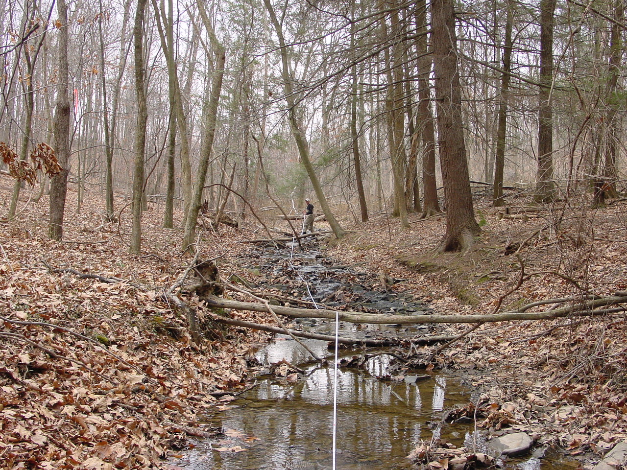 Field photo showing stream conditions at site CONO-116-R-2002-1