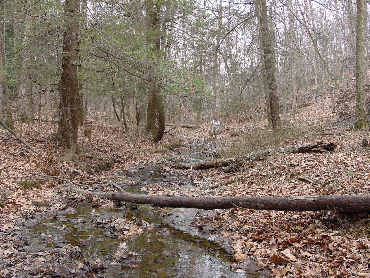 Field photo showing stream conditions at site CONO-116-R-2002-2