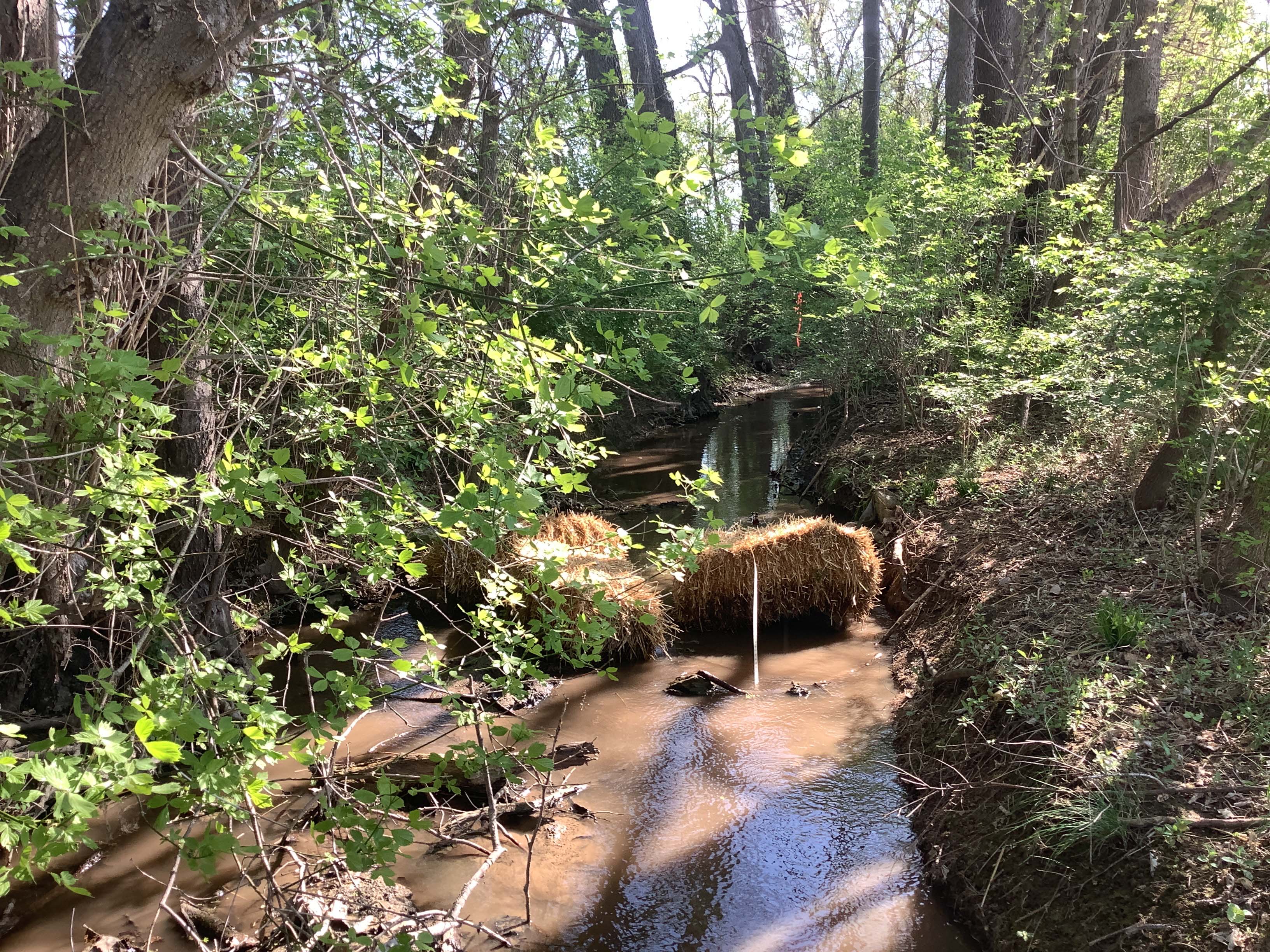 Field photo showing stream conditions at site CONO-127-R-2023_Midpoint_facing_upstream