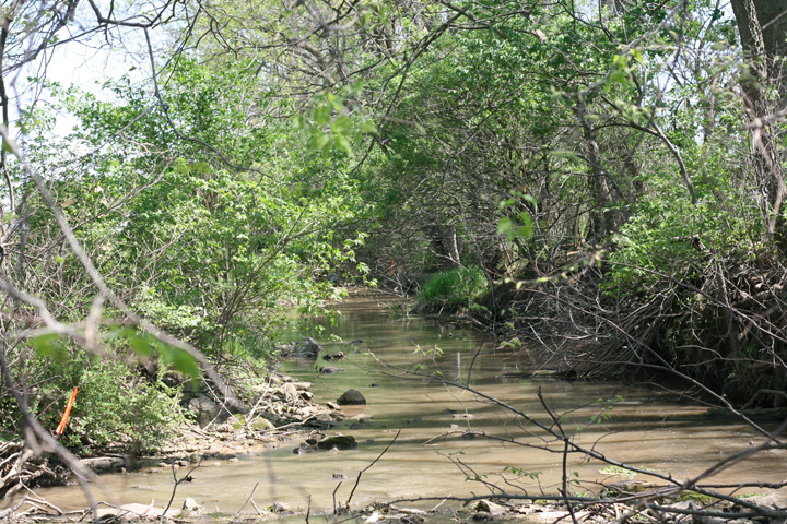 Field photo showing stream conditions at site CONO-205-R-2009-1