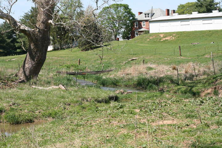 Field photo showing stream conditions at site CONO-208-R-2009-2