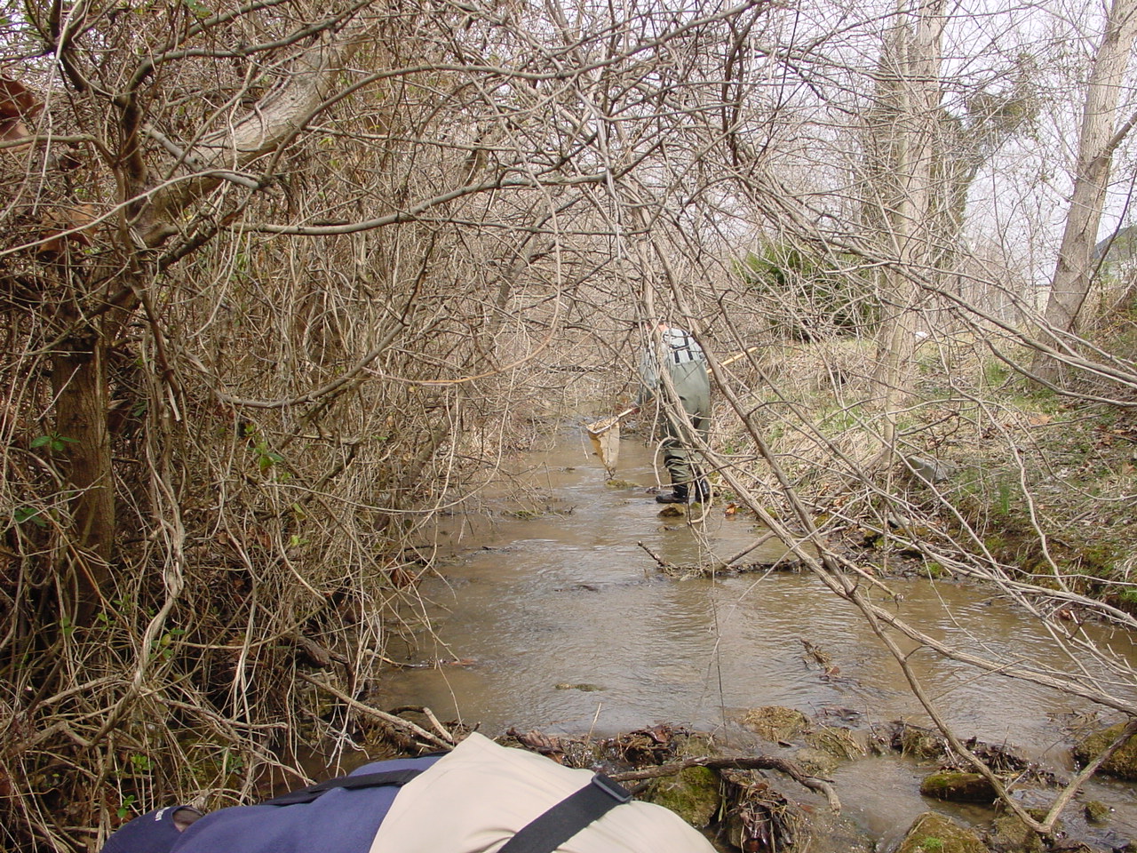 Field photo showing stream conditions at site CONO-217-R-2002-1