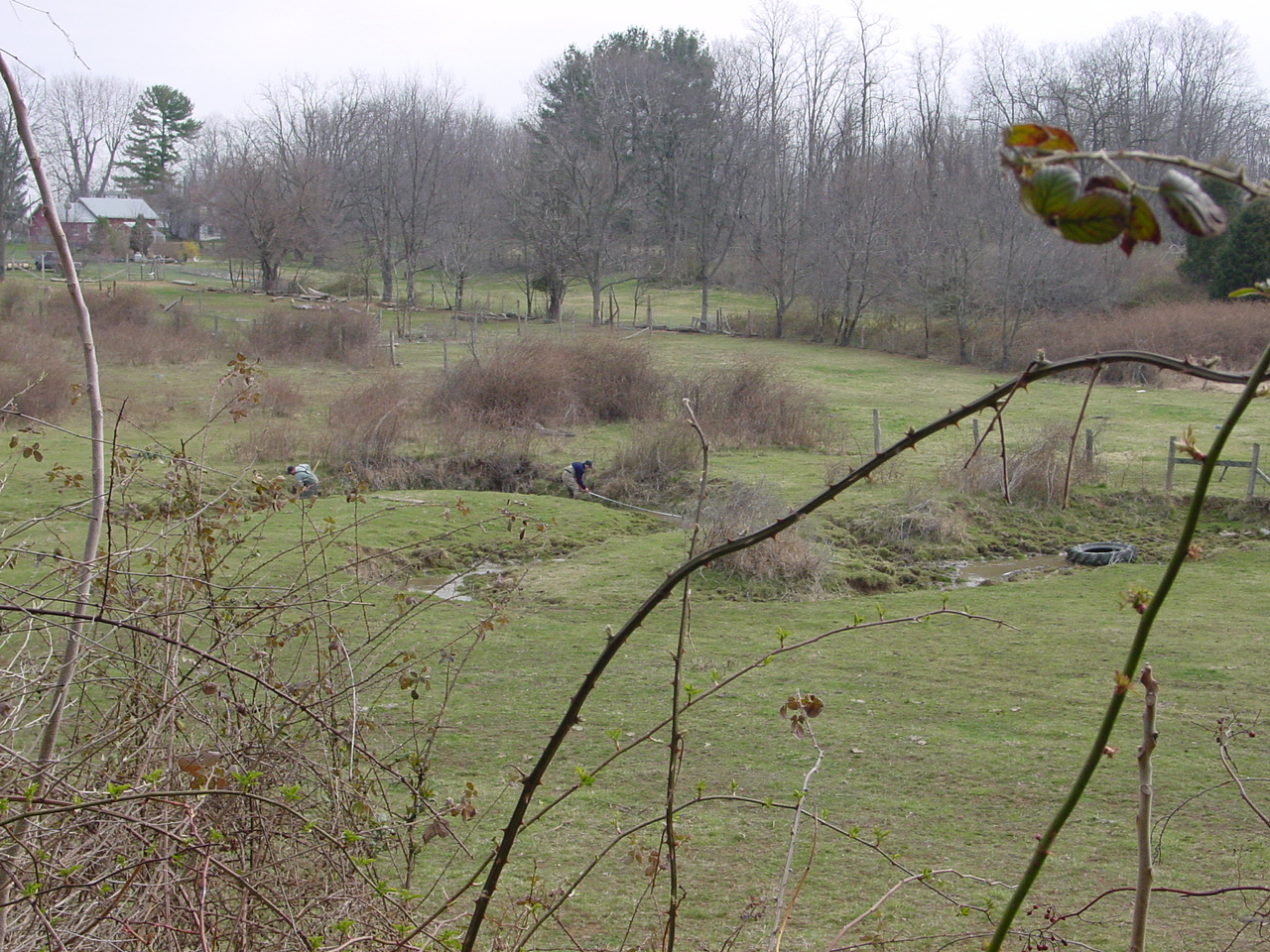 Field photo showing stream conditions at site CONO-218-R-2002-1