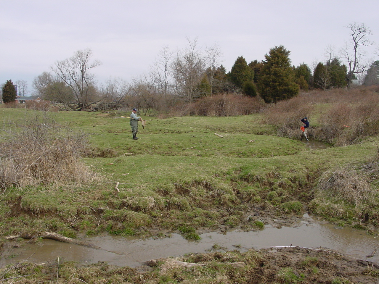 Field photo showing stream conditions at site CONO-218-R-2002-2